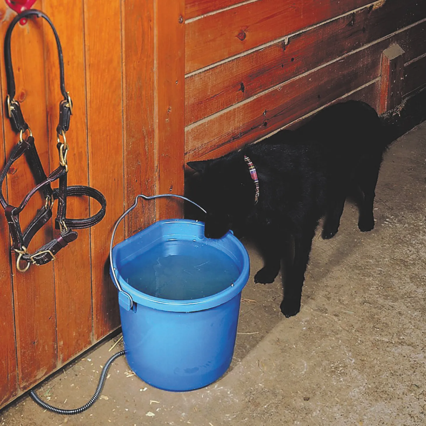 API® 20-Quart Heated Flatback Bucket