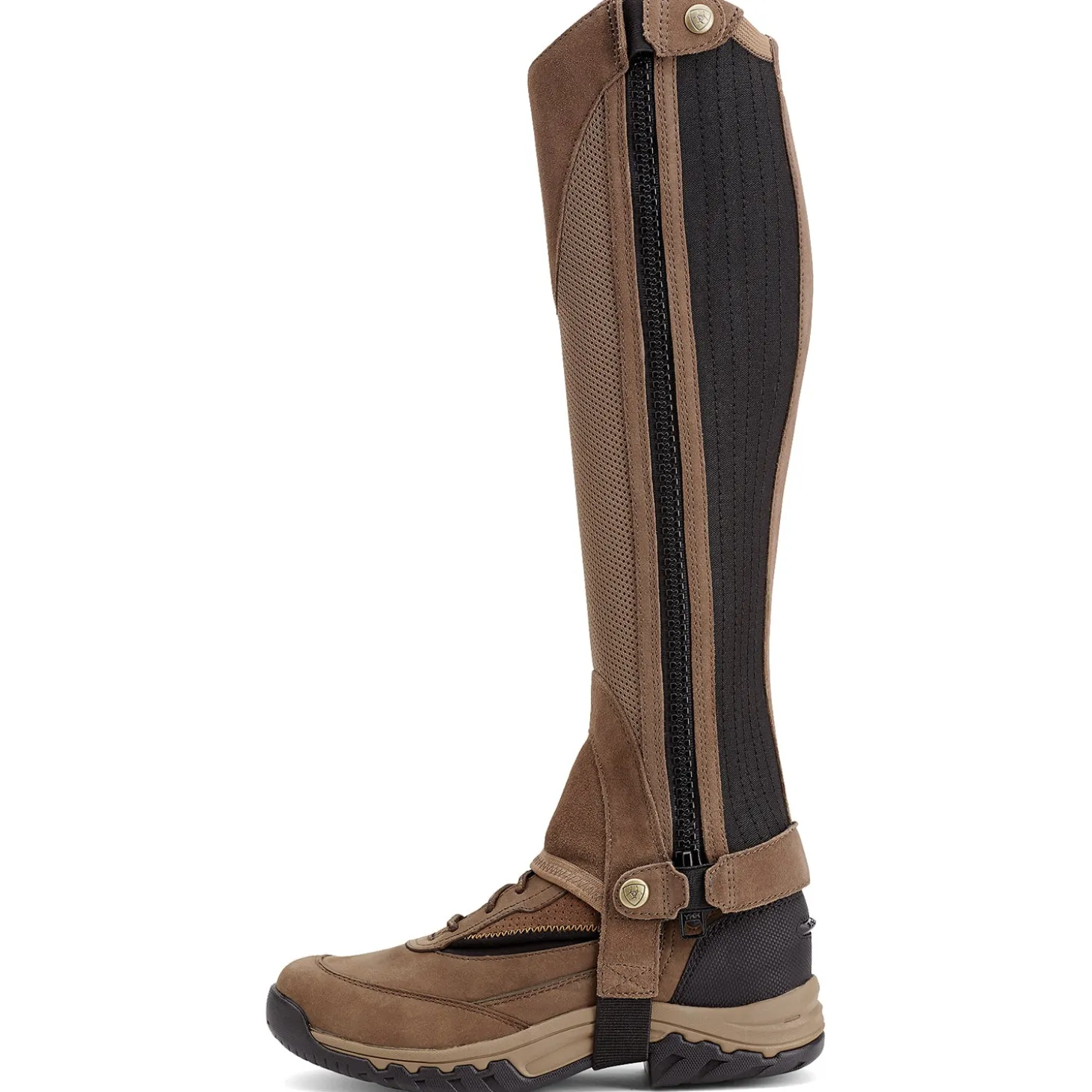 Ariat® Terrain II Half Chap