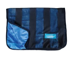 Back on Track® Cool on Track® Towel