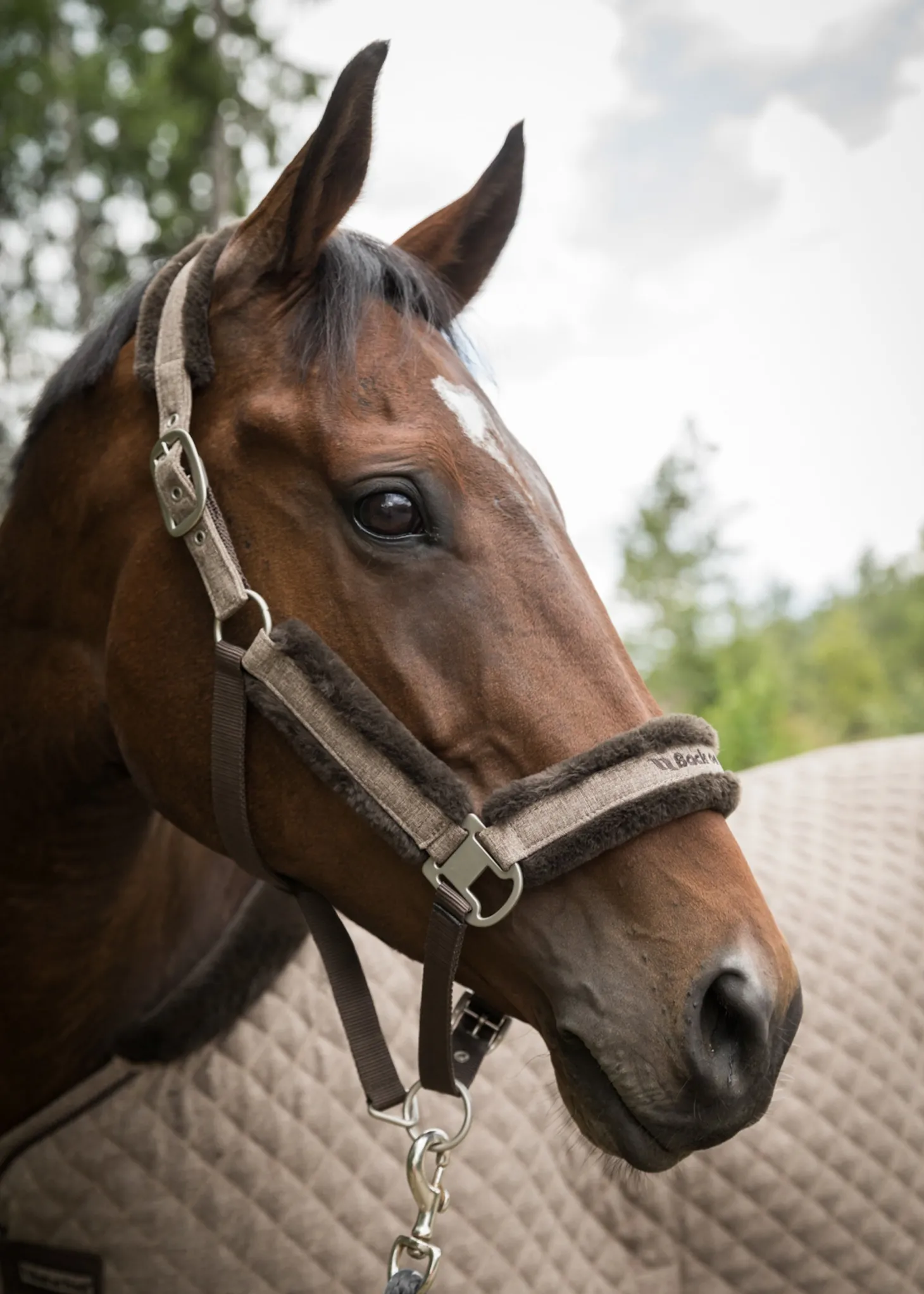 Back on Track® Haze Collection Halter