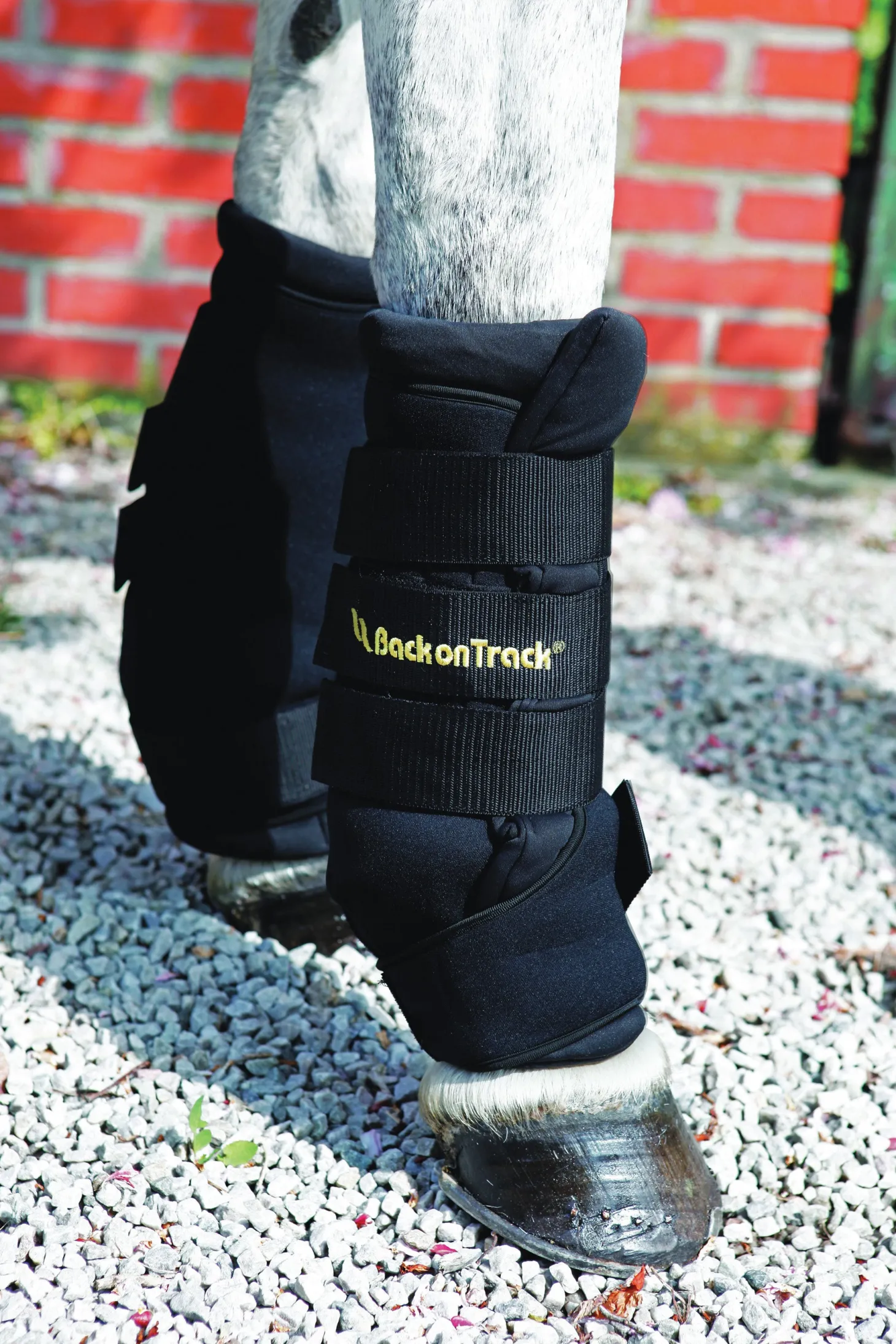 Back on Track® Royal Quick Wraps