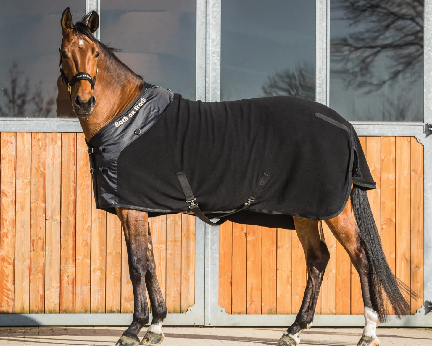 Back on Track® Supreme Fleece Blanket