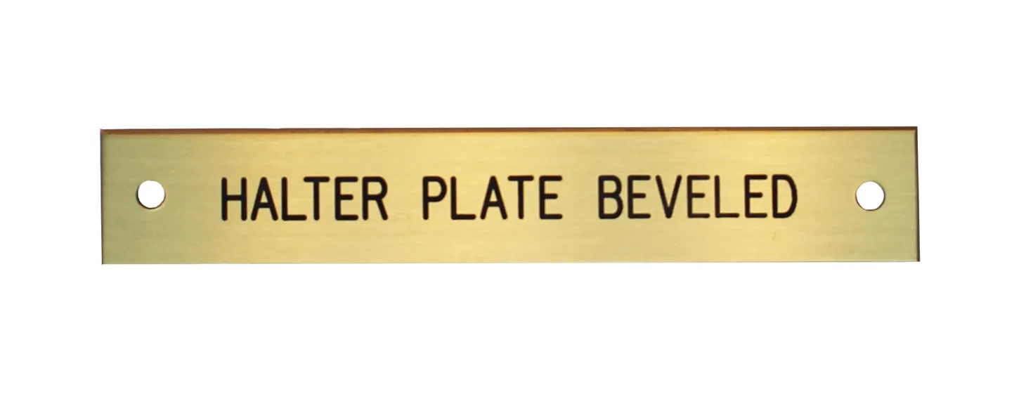 Beveled Edge Halter Nameplate - 3 lines