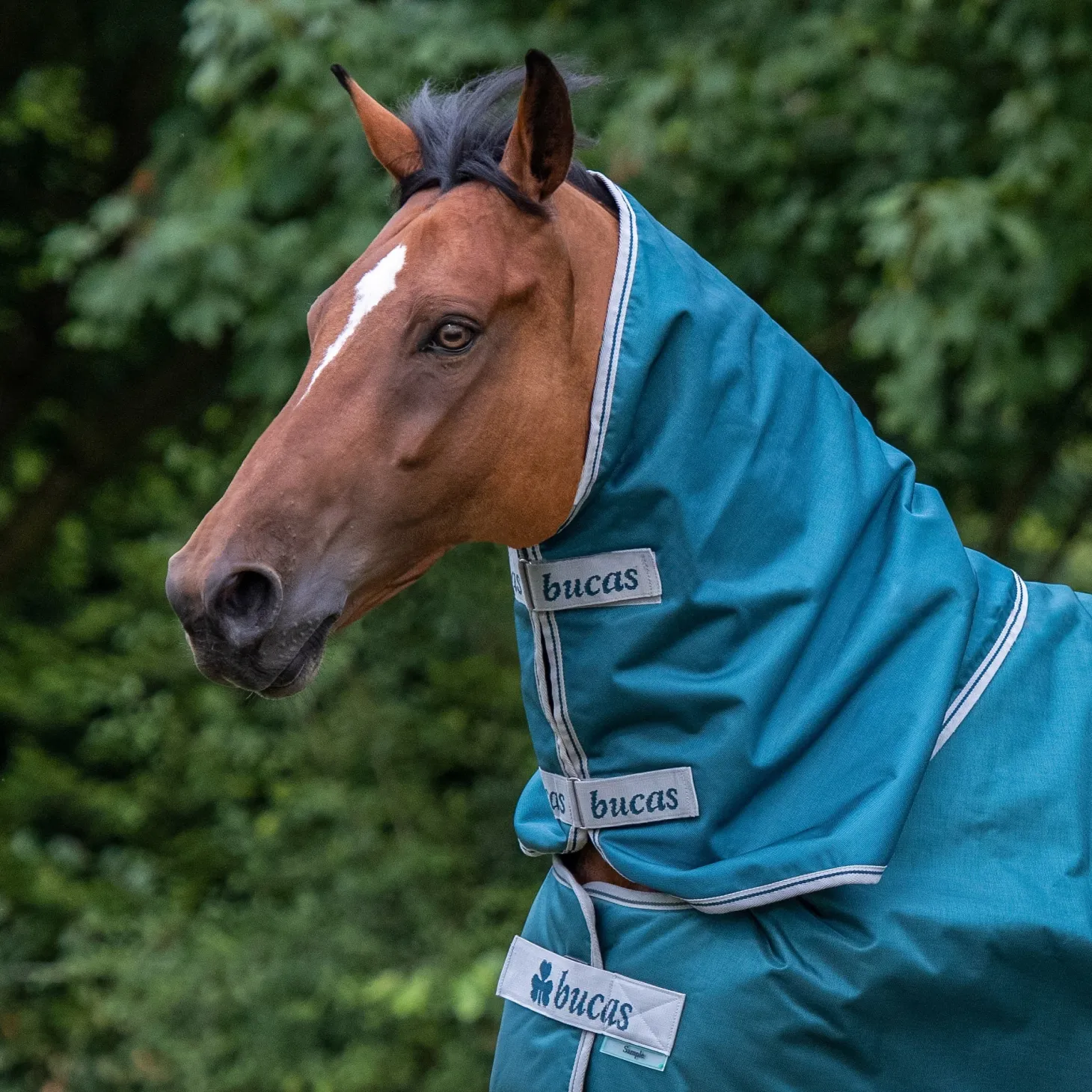 Bucas Atlantic 50 Gram Turnout Blanket