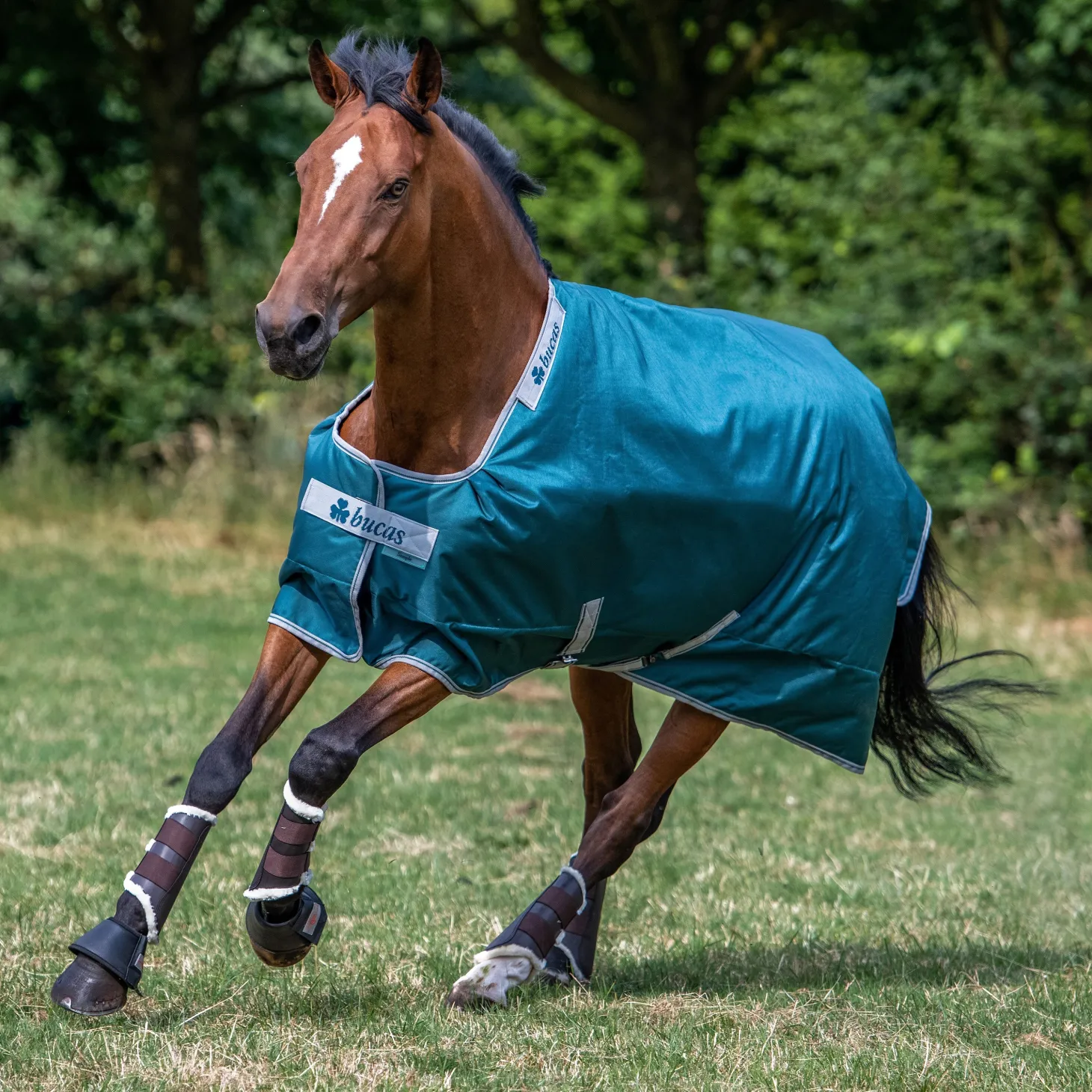 Bucas Atlantic 400 Gram Turnout Blanket