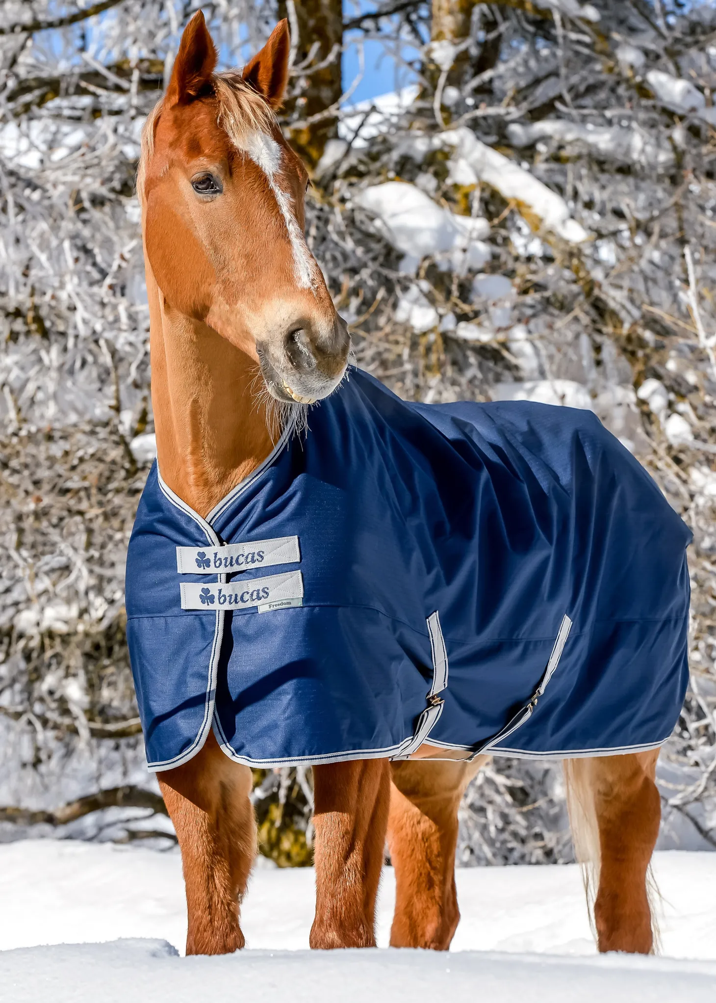 Bucas Freedom Extra Heavy Turnout Blanket