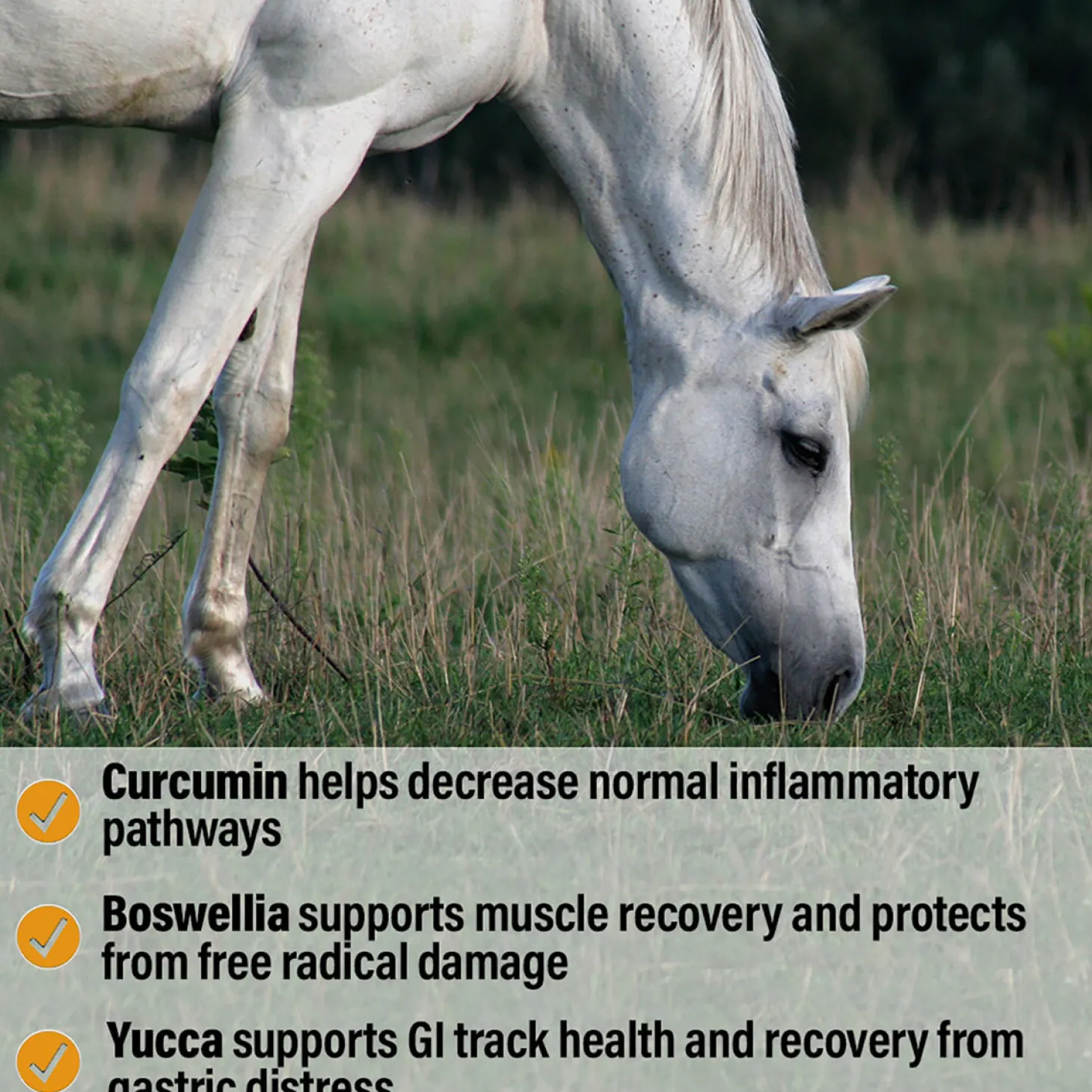 Bute-Less® Performance Comfort & Recovery Pellets