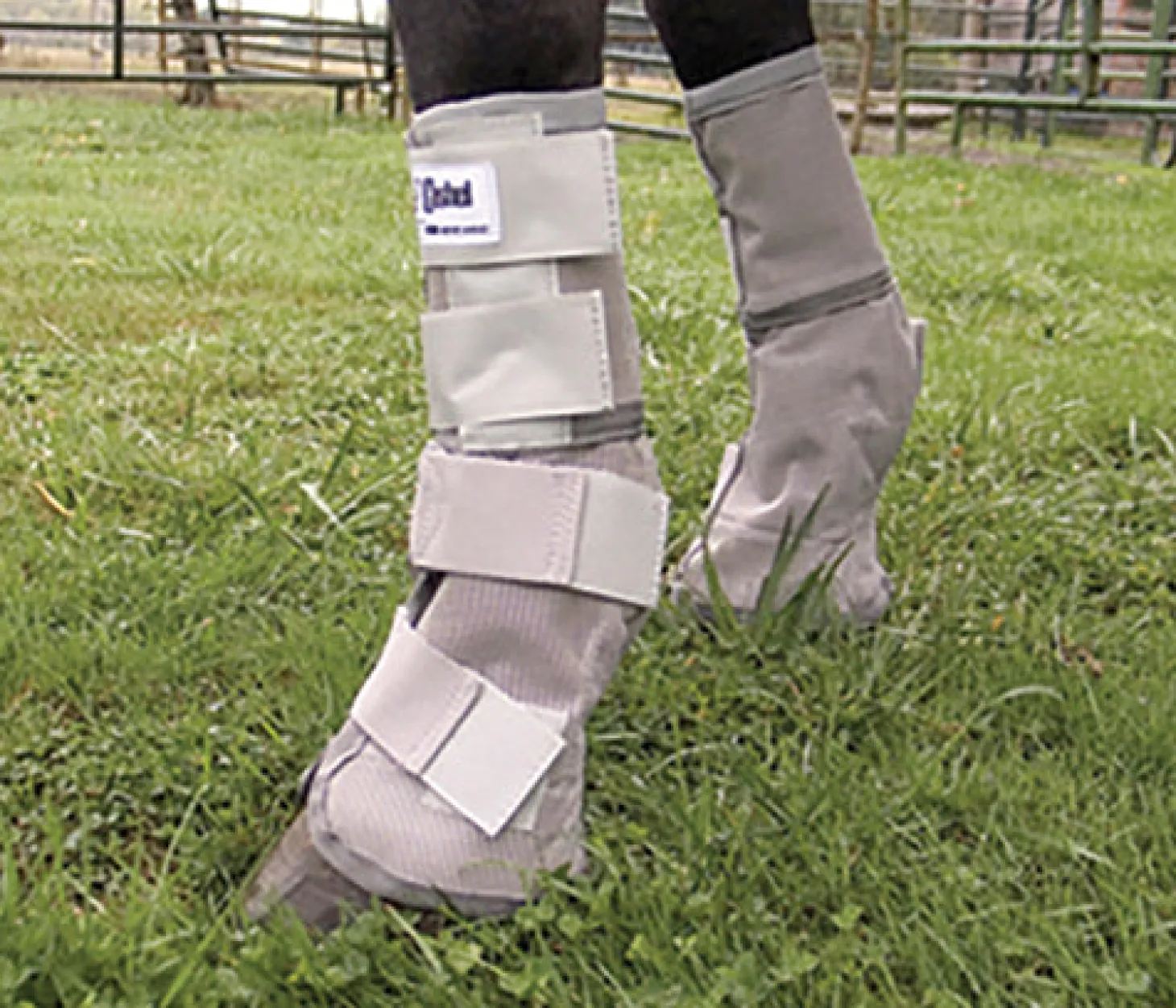 Cashel® Cool Crusader™ Leg Guards