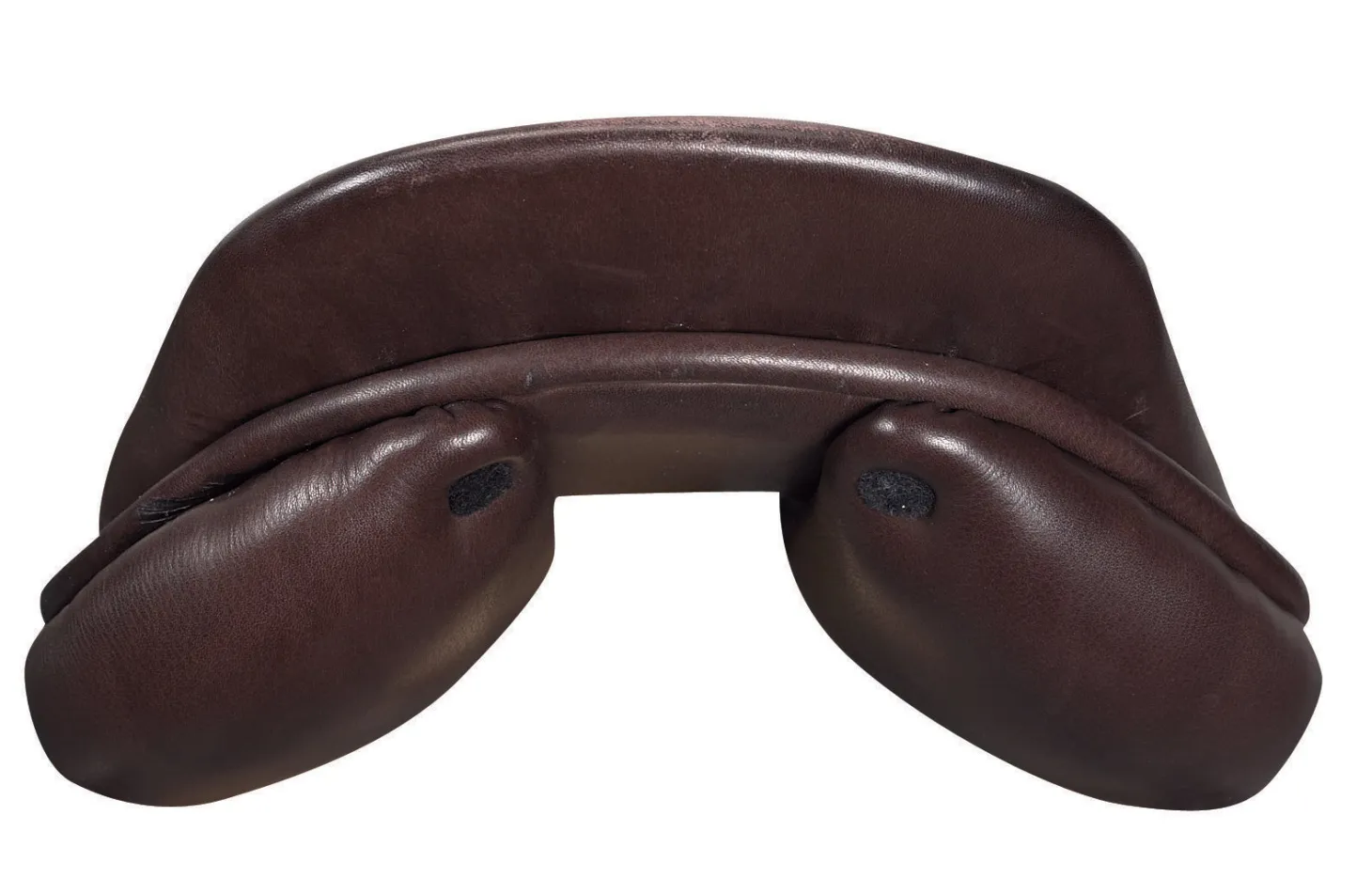 Circuit™ Premier Special DS Saddle