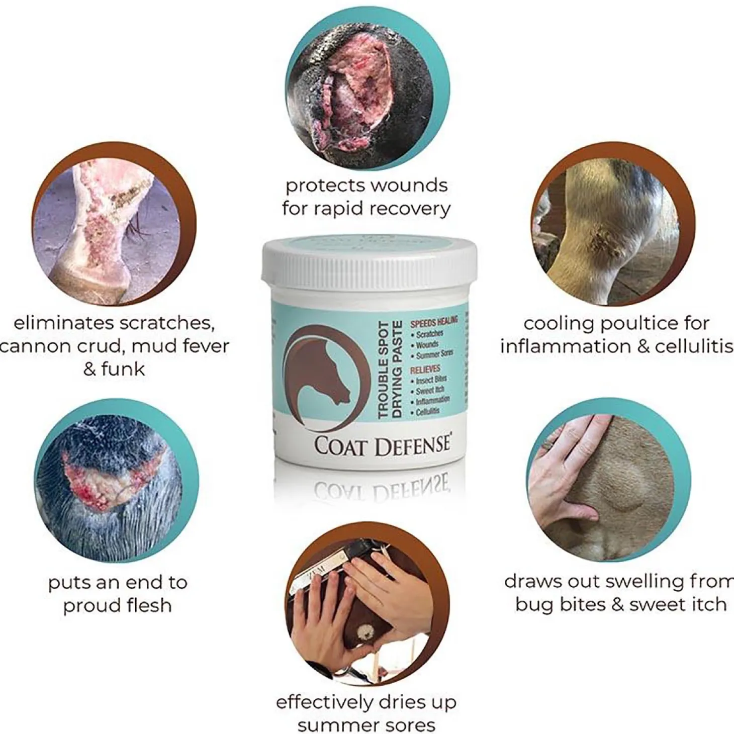Coat Defense® Trouble Spot Drying Paste