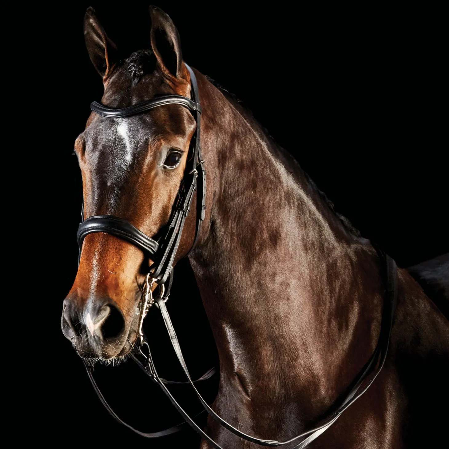 Collegiate® ComFiTec™ Weymouth Bridle