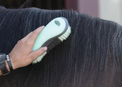 Dandy Brush