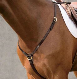 DS Brass Fitted Breastplate