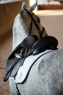 DS Classic Dressage Saddle