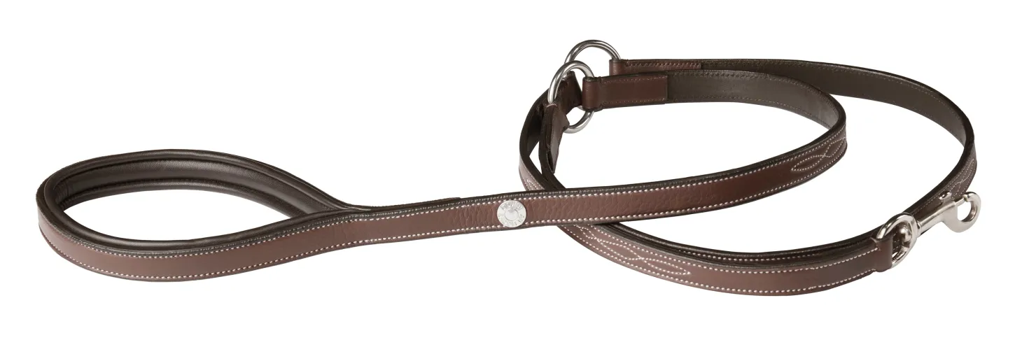 DS Fancy-Stitched Dog Leash