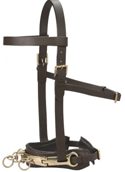 DS Leather Lunge Caveson