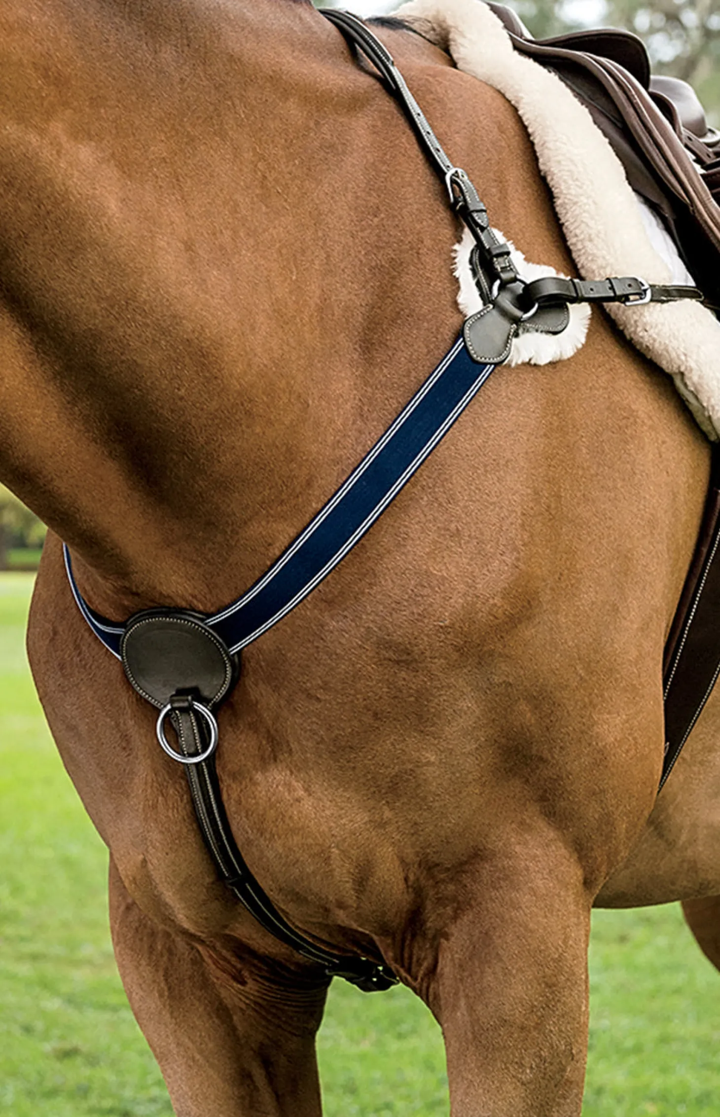 DS 3-Point Breastplate