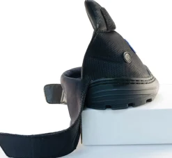 EasyBoot® Cloud