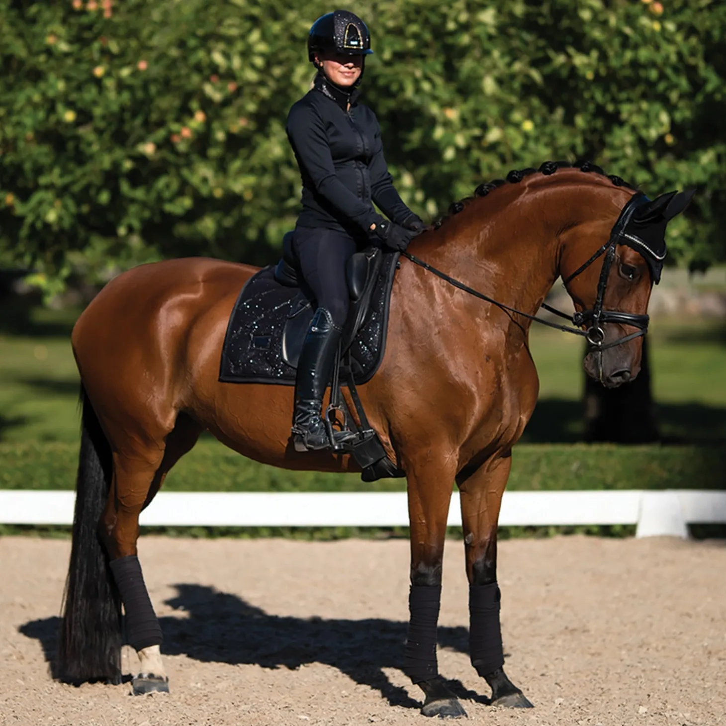 Equestrian Stockholm Glimmer Dressage Saddle Pad