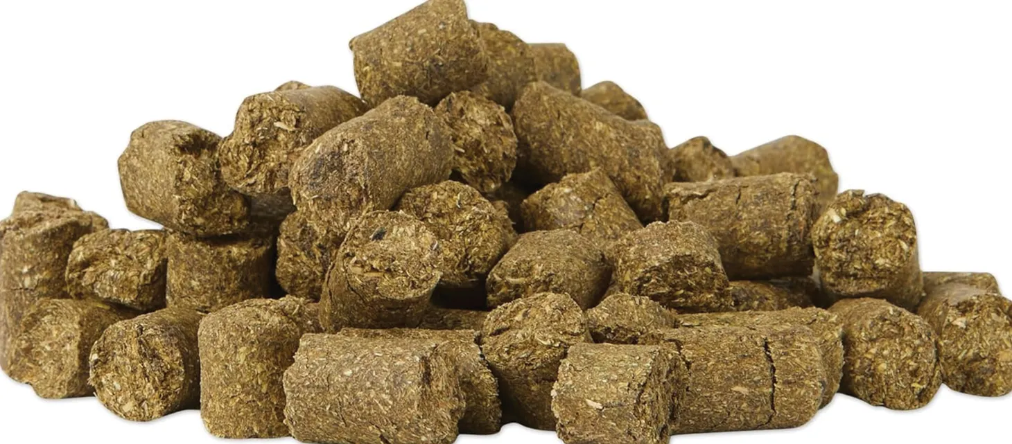 Equi Treats™ Bite Sized Pellets by SmartEquine™ - 12 oz