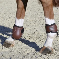 EquiFit® Young Horse Boots with ImpacTeq®