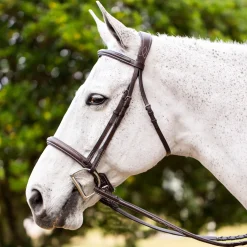 Equinavia Valkyrie Fancy-Stitched Hunter Bridle & Reins
