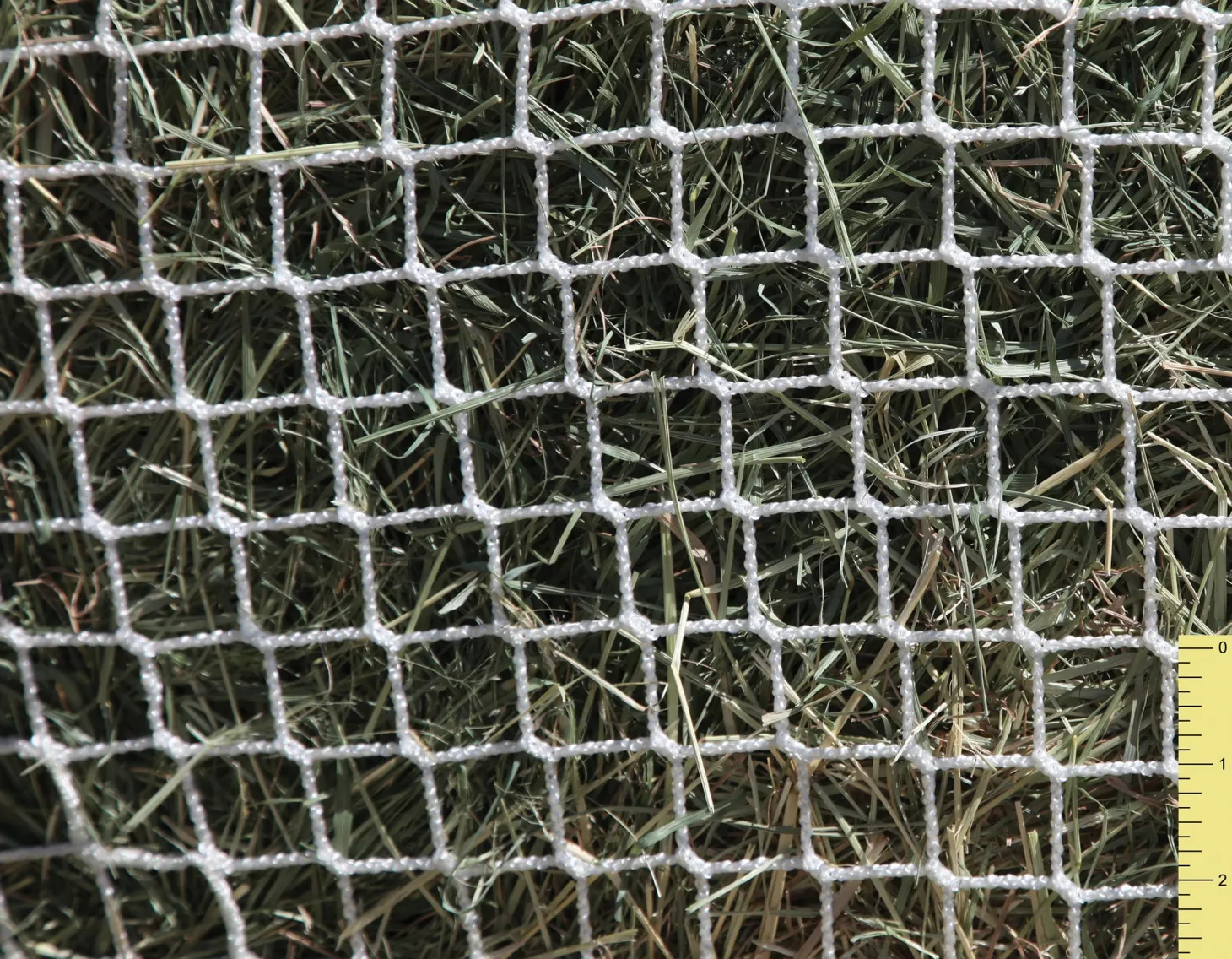 Freedom Feeder® Extended Day Net - 1"