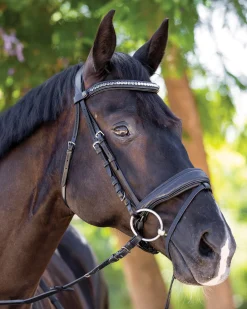 Halter Ego® Doc Marten Snaffle Bridle