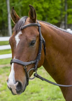 Henri de Rivel Pro Anatomical Bridle