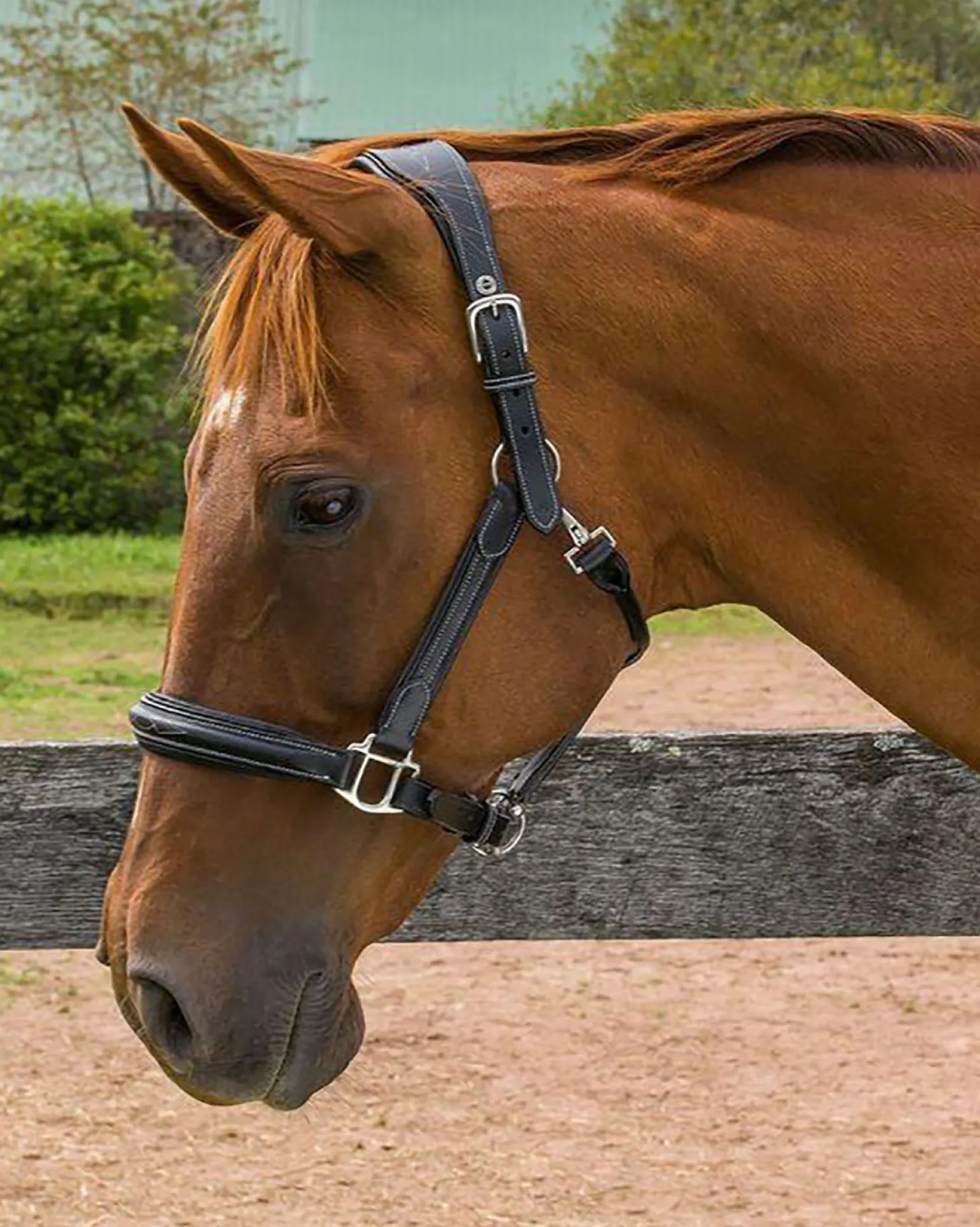 Henri de Rivel Stress Free Halter with Fancy Contrast Stitching