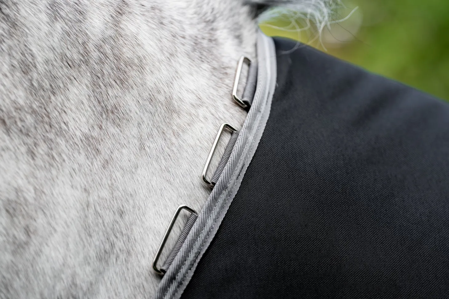 Horseware® Ireland Amigo® 1200D Plus Turnout 250 Gram
