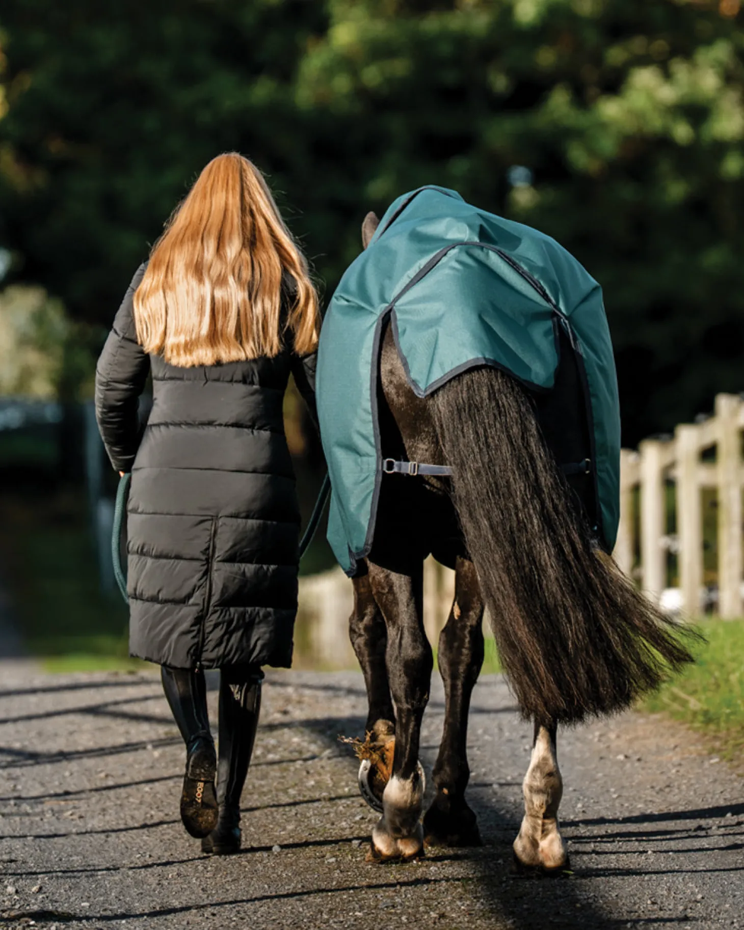 Horseware® Ireland Amigo® Ripstop 900D 50 Gram Standard Neck Turnout