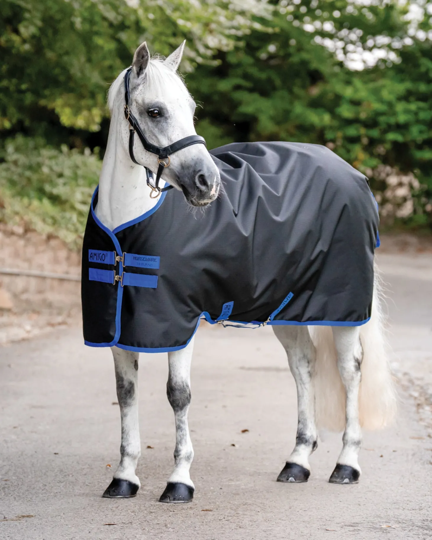 Horseware® Ireland Amigo® Ripstop 900D 200 Gram Standard Neck Pony Turnout