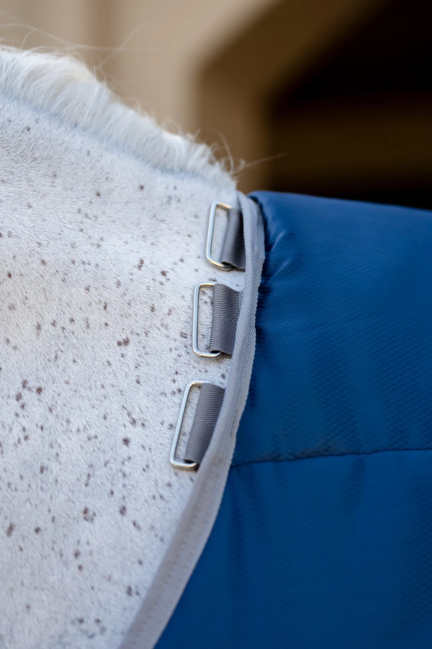 Horseware® Ireland Amigo® Ripstop Insulator Stable Blanket - 100G