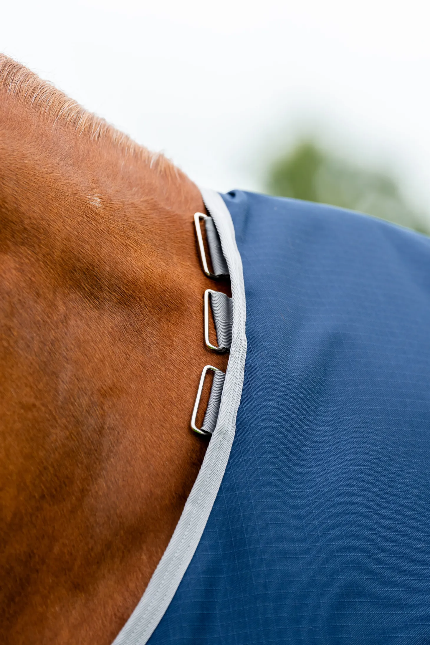 Horseware® Ireland Amigo® Ripstop 900D 100 Gram Standard Neck Turnout