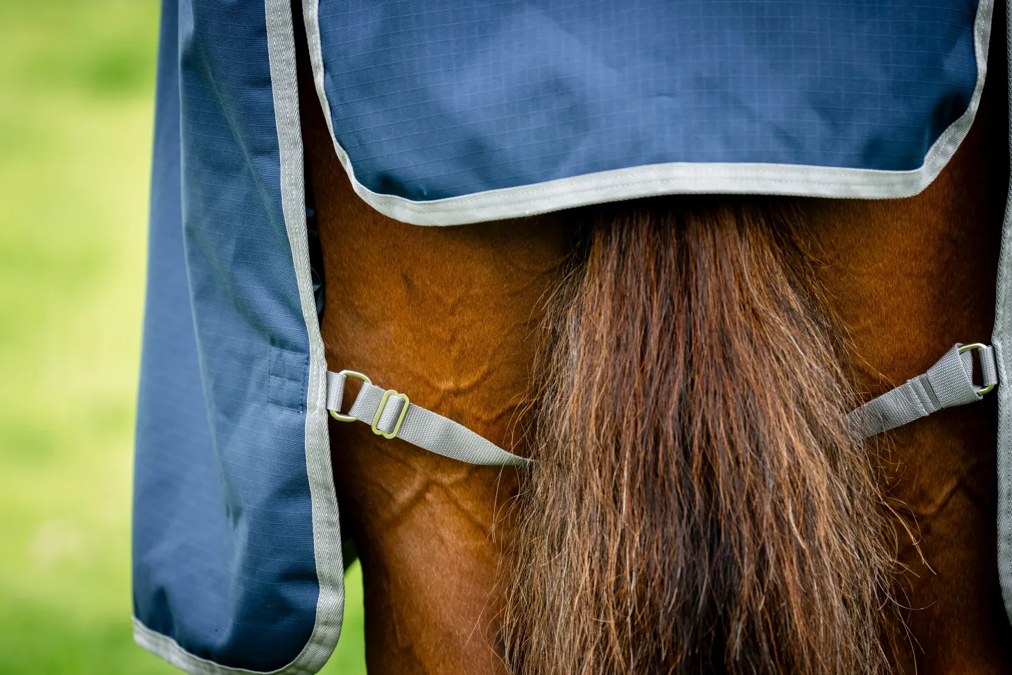 Horseware® Ireland Amigo® Ripstop 900D 50 Gram Standard Neck Turnout