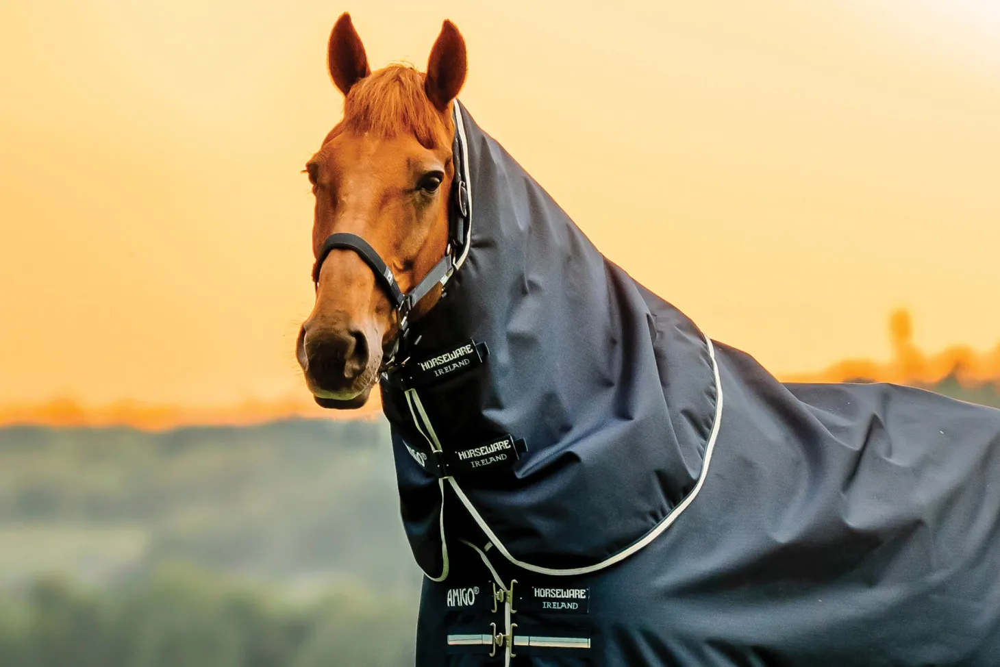 Horseware® Ireland Amigo® Ripstop 900D 100 Gram Plus Turnout