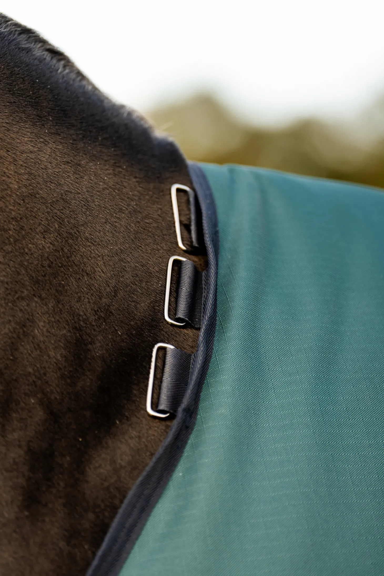 Horseware® Ireland Amigo® Ripstop 900D 200 Gram Standard Neck Pony Turnout–Seasonal Color