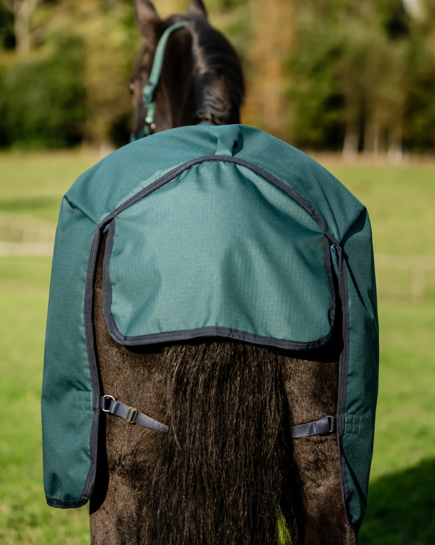 Horseware® Ireland Amigo® Ripstop 900D 200 Gram Standard Neck Pony Turnout–Seasonal Color