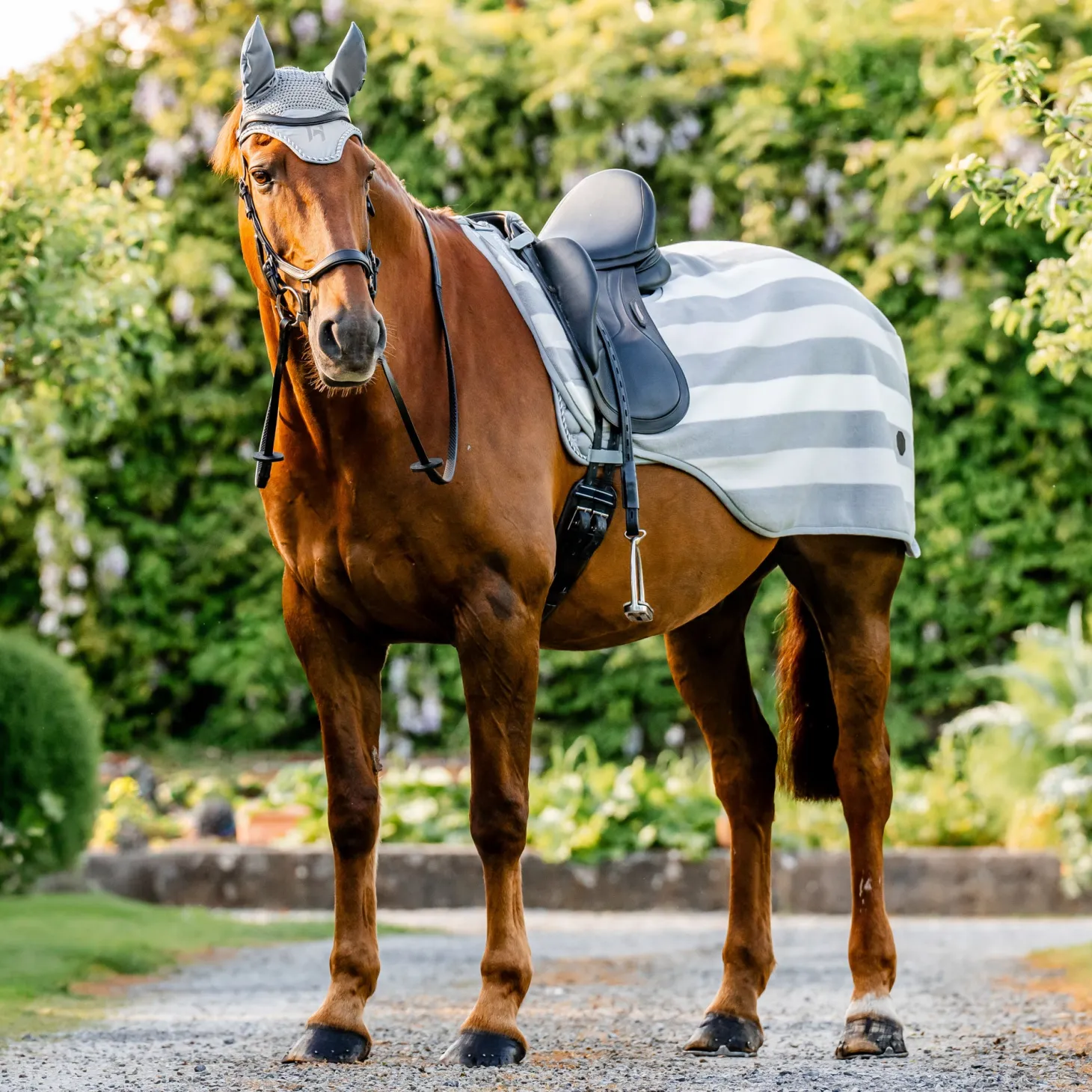 Horseware® Ireland Newmarket Exercise Sheet