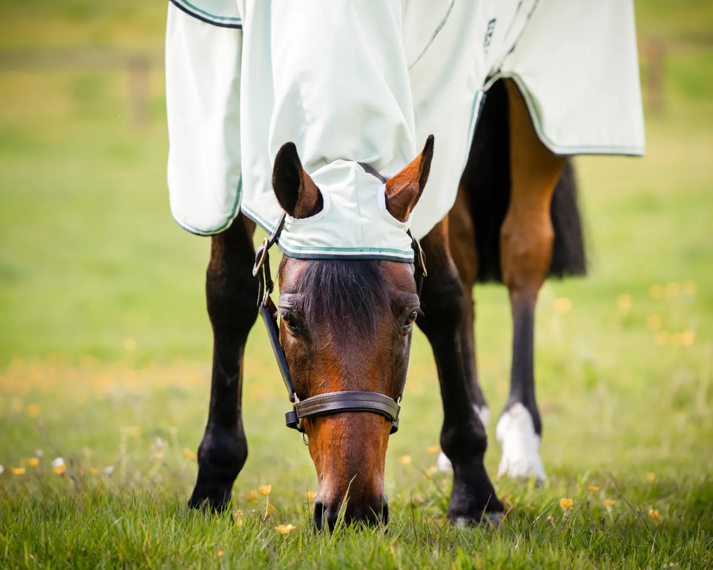 Horseware® Ireland Rambo® Hoodie