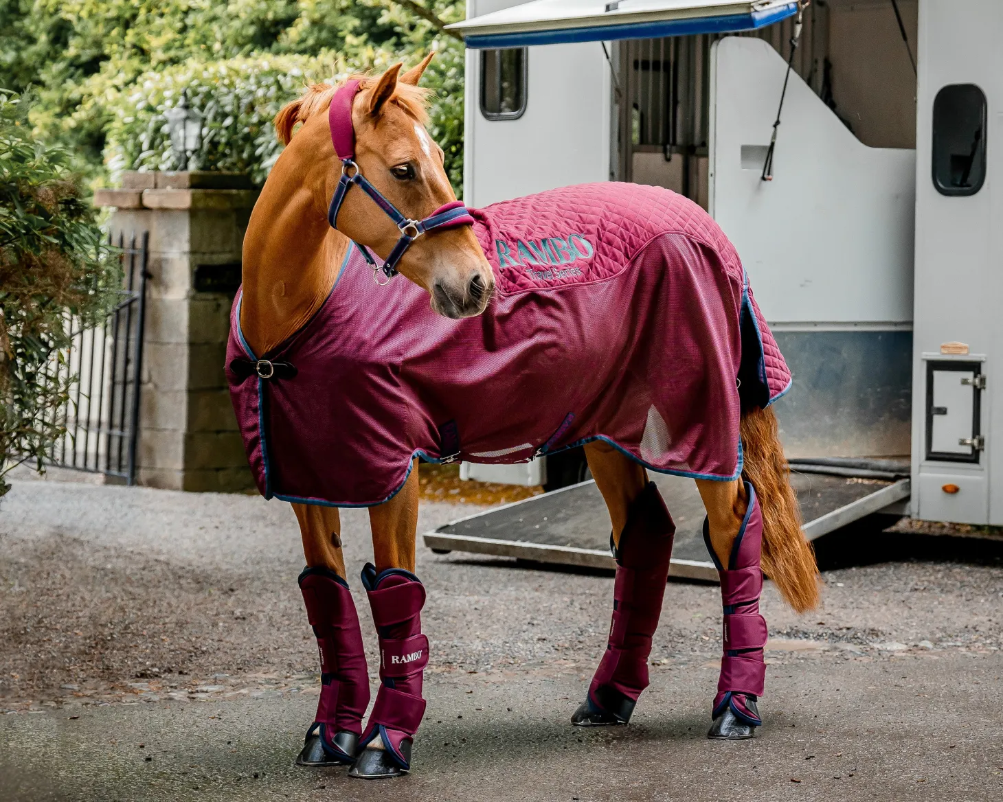 Horseware® Ireland Rambo® Travel Series Sheet