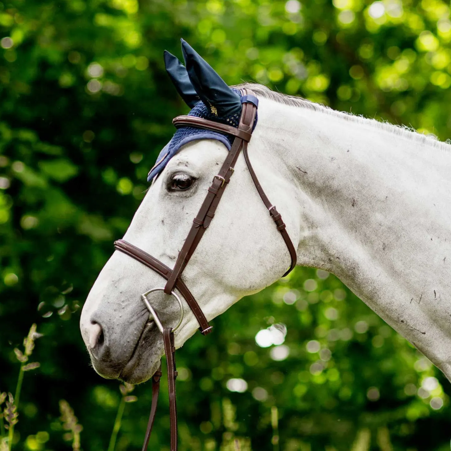 Horze Harrison Bridle