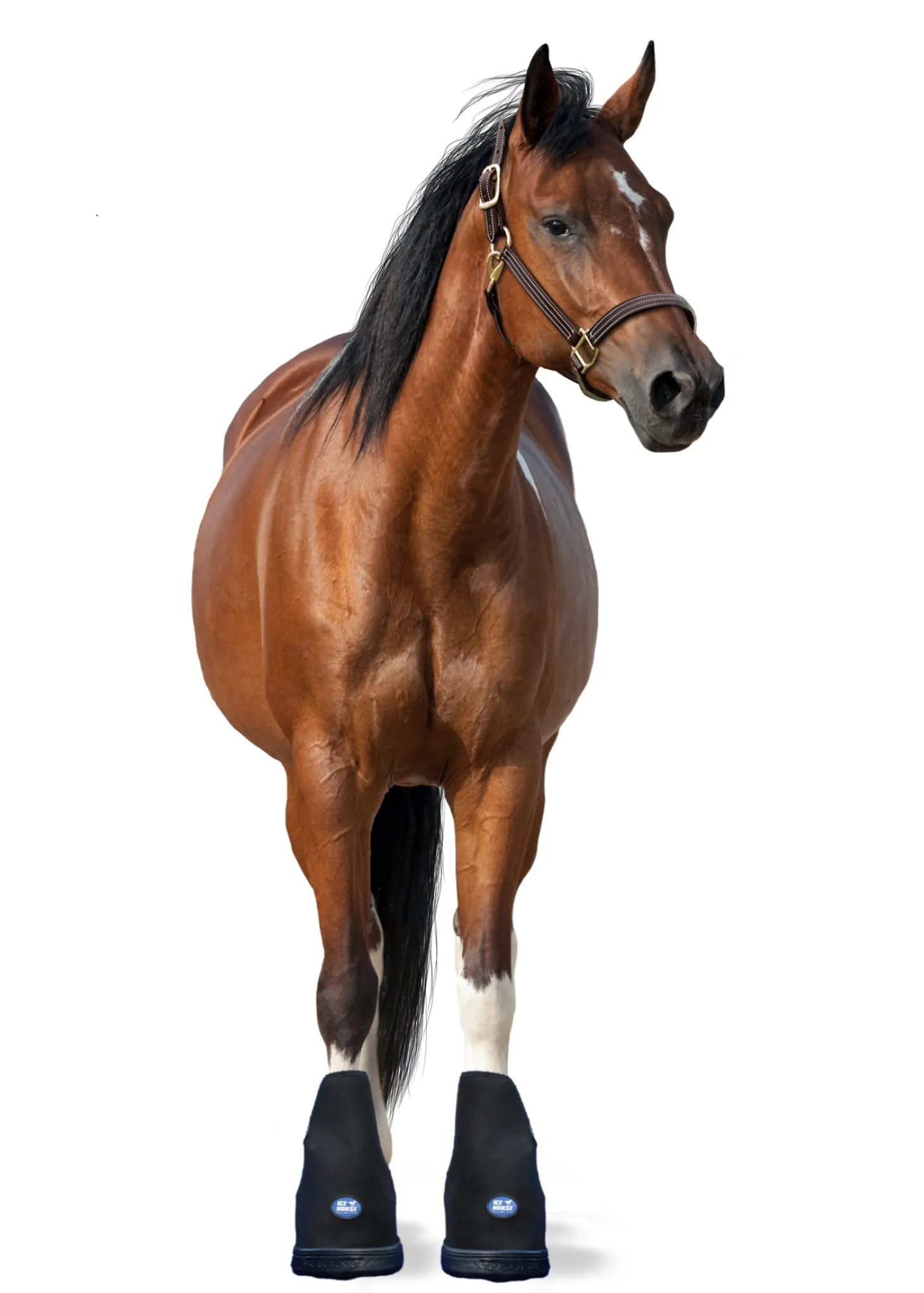 Ice Horse® Medium Laminitis Pro Boot