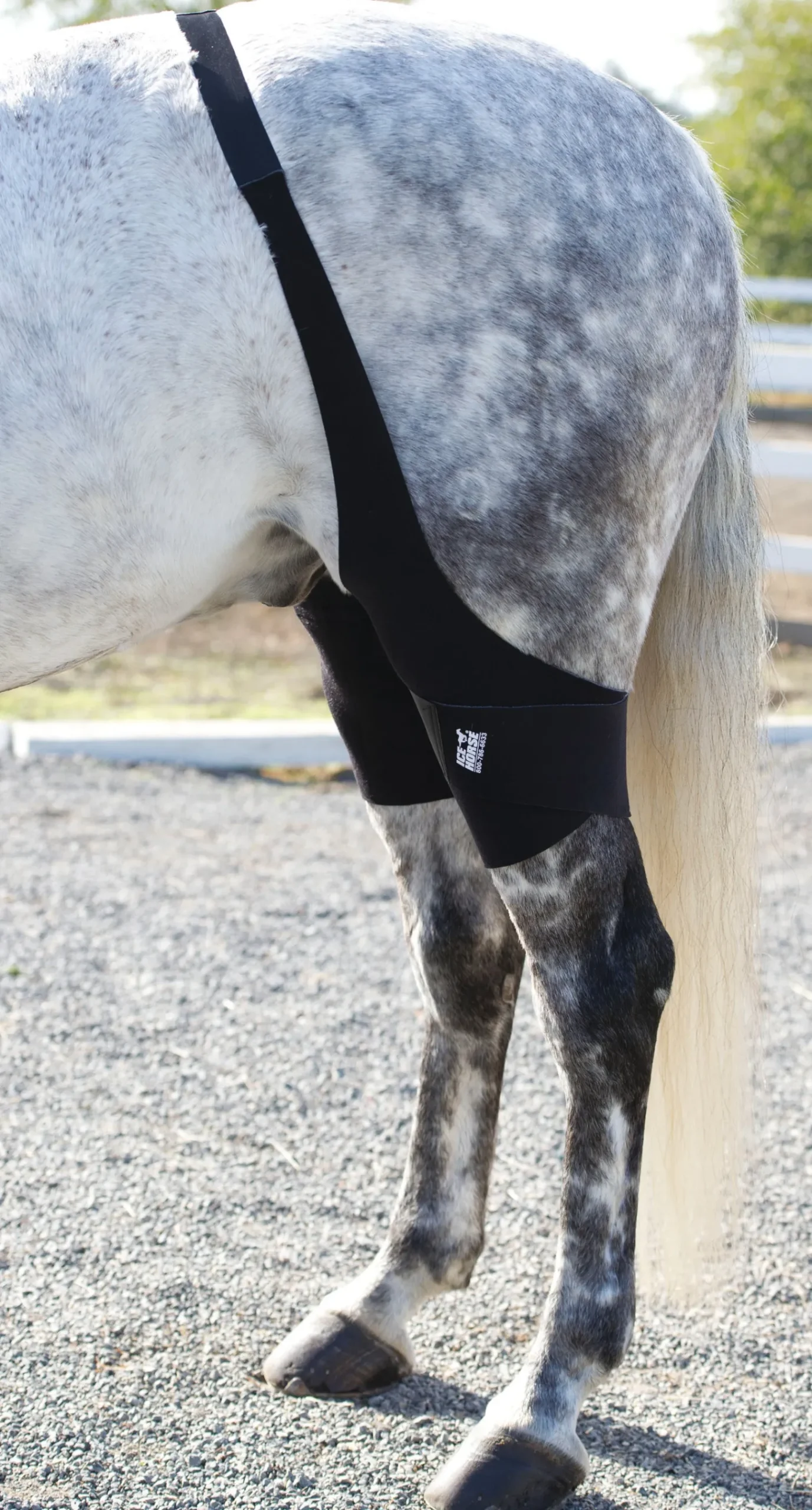 Ice Horse® Stifle Wraps