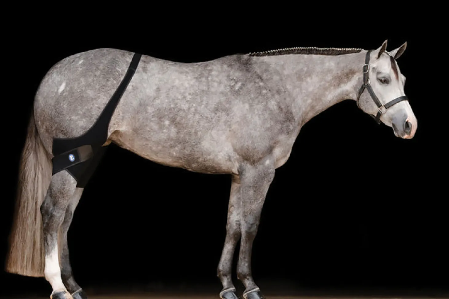 Ice Horse® Stifle Wraps