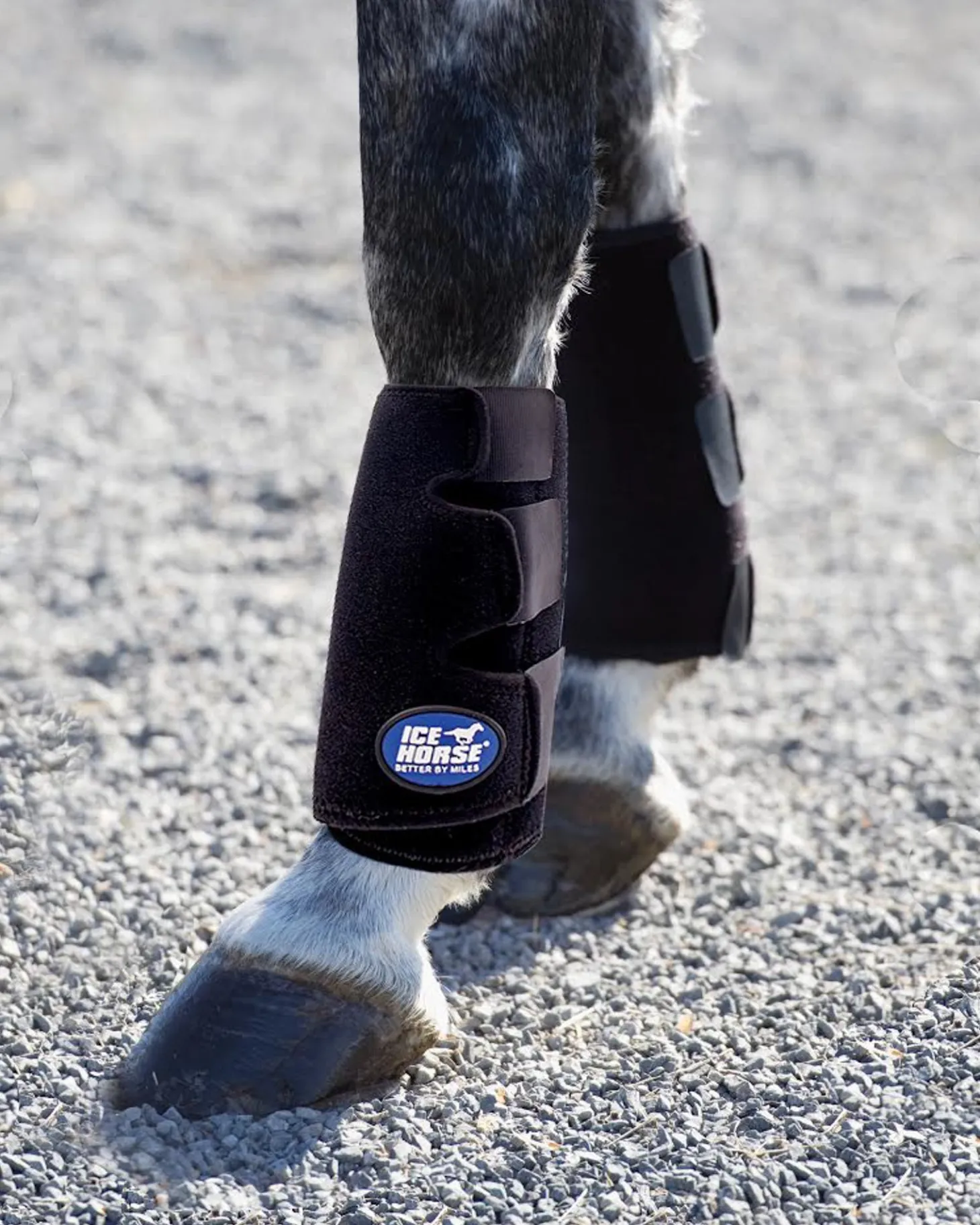 Ice Horse® Tendon Wraps, Pair
