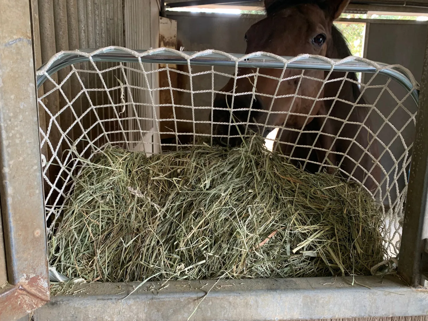 Kensington™ Freedom Feeder Adjustable Frame