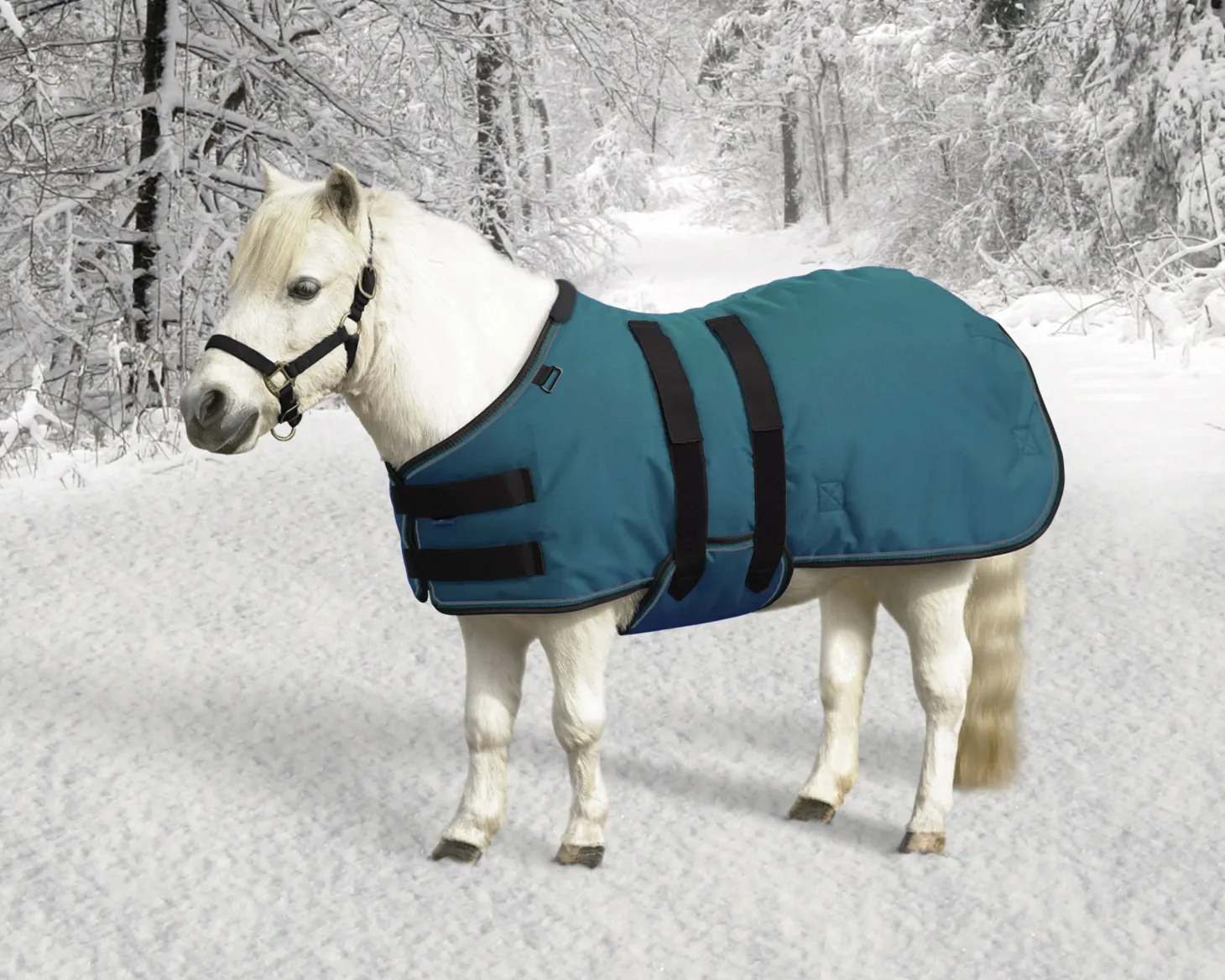 Kensington™ Signature Mini Medium-Weight Turnout Blanket