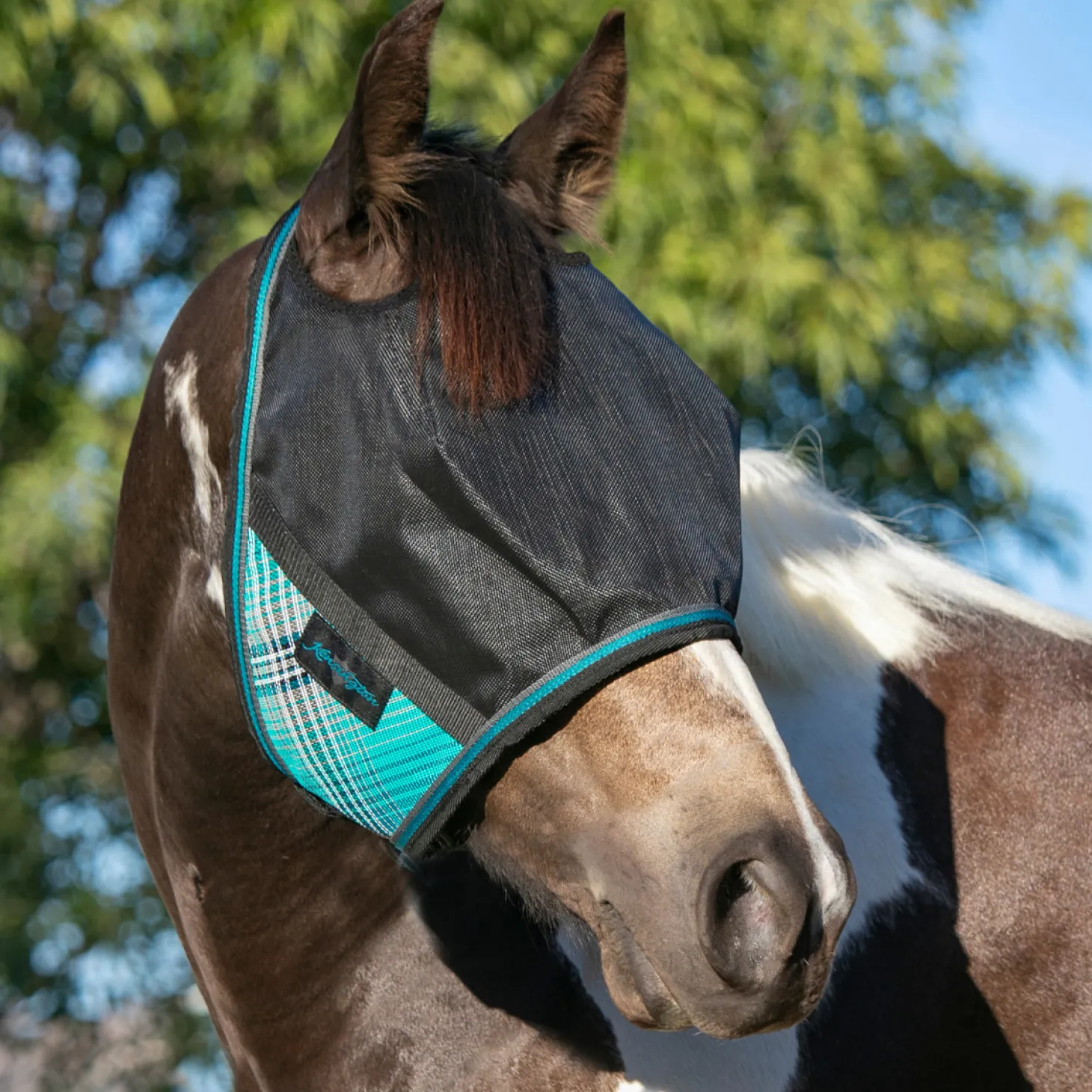 Kensington™ UViator CatchMask® with Web Trim